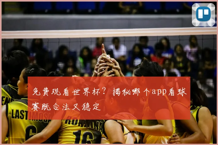 免费观看世界杯？揭秘哪个app看球赛既合法又稳定